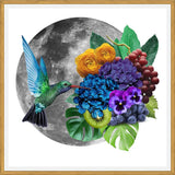 Cuadro Picaflor en la luna