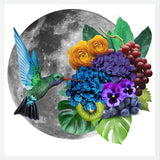 Cuadro Picaflor en la luna