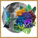 Cuadro Picaflor en la luna
