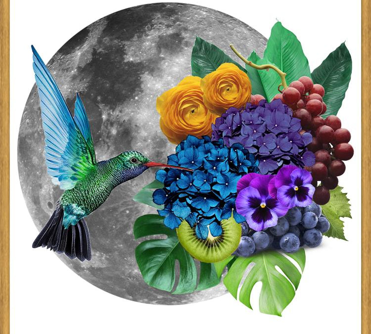Cuadro Picaflor en la luna