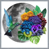Cuadro Picaflor en la luna