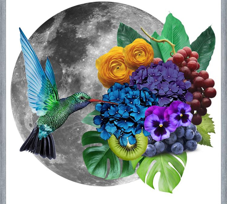Cuadro Picaflor en la luna