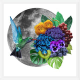 Cuadro Picaflor en la luna