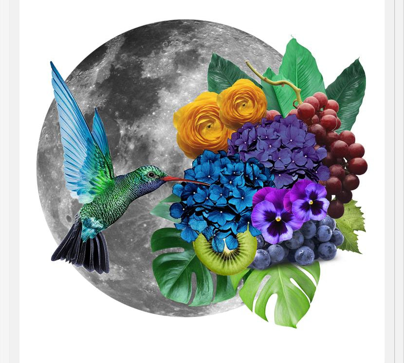 Cuadro Picaflor en la luna
