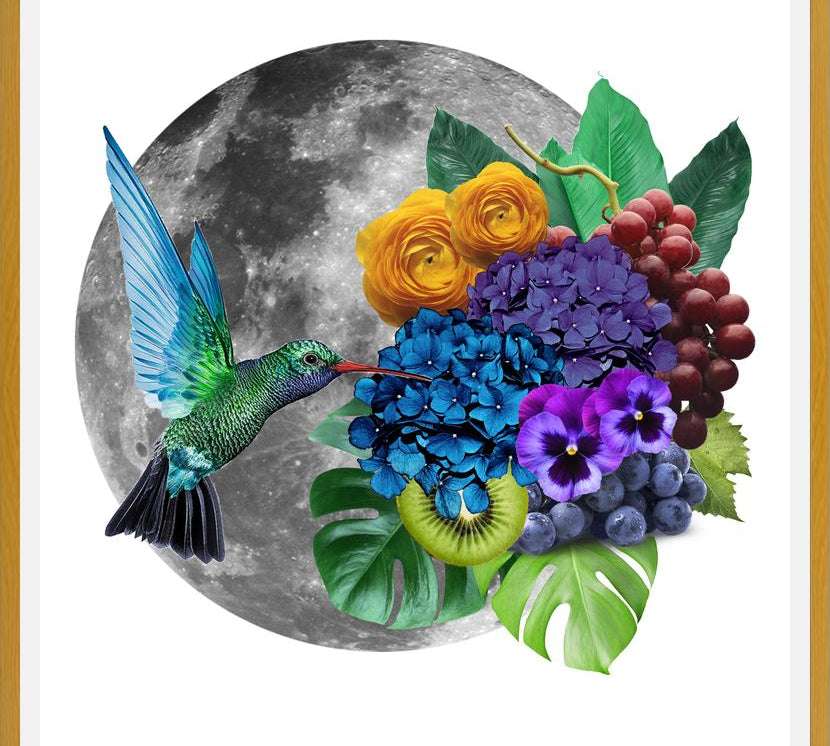 Cuadro Picaflor en la luna