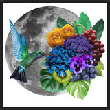 Cuadro Picaflor en la luna