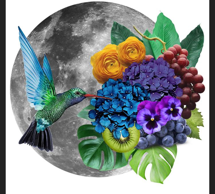 Cuadro Picaflor en la luna