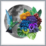 Cuadro Picaflor en la luna