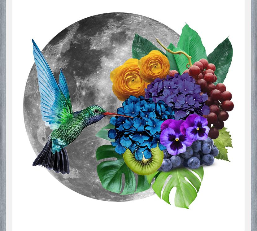 Cuadro Picaflor en la luna