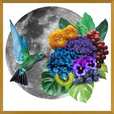 Cuadro Picaflor en la luna