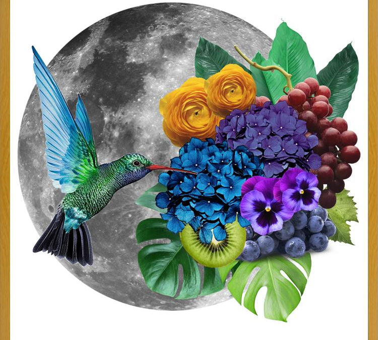 Cuadro Picaflor en la luna