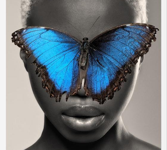 Cuadro Mujer Mariposa