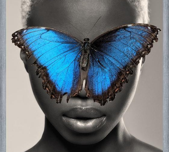 Cuadro Mujer Mariposa