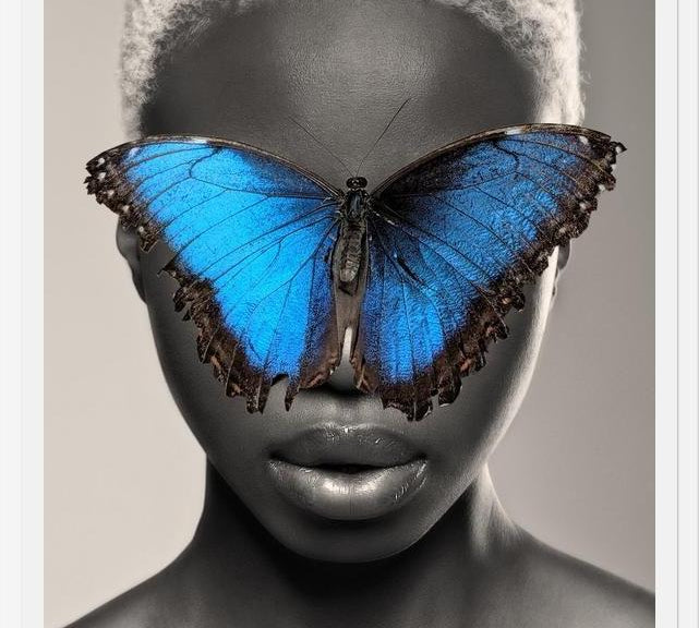 Cuadro Mujer Mariposa