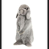 Cuadro conejito gris