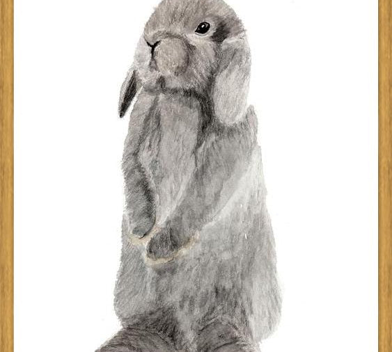 Cuadro conejito gris