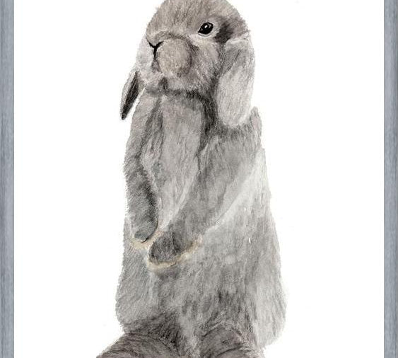 Cuadro conejito gris
