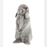Cuadro conejito gris