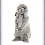 Cuadro conejito gris