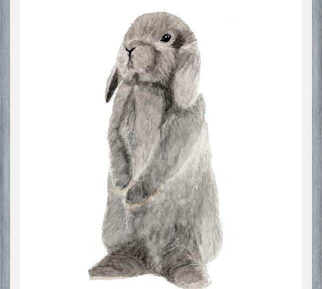 Cuadro conejito gris