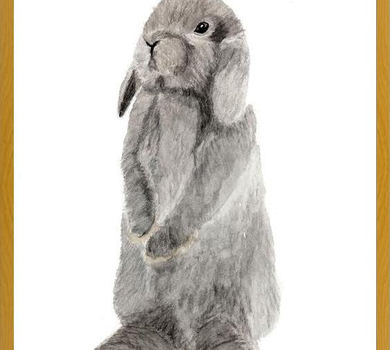 Cuadro conejito gris