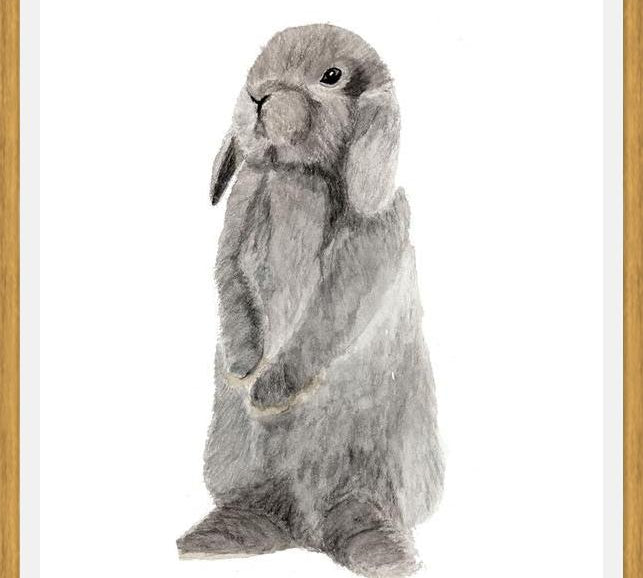 Cuadro conejito gris