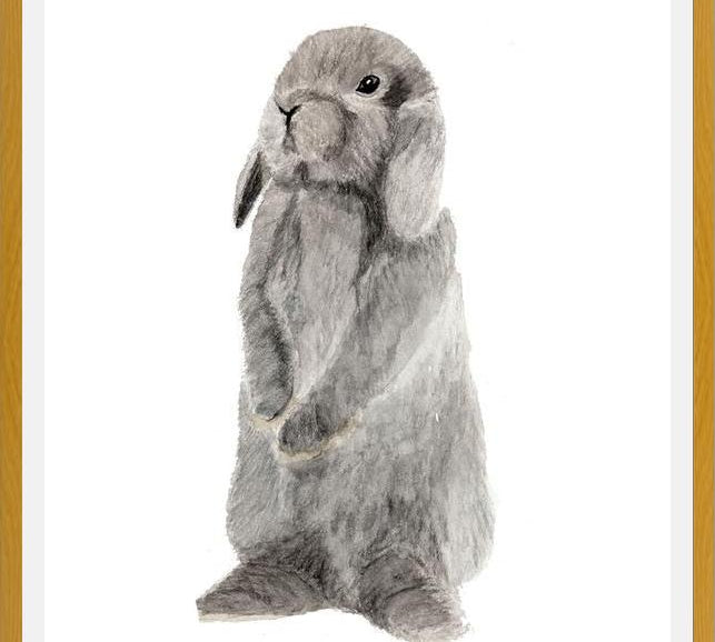 Cuadro conejito gris