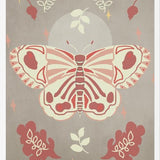 Cuadro Vintage Butterfly 02