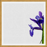Cuadro Iris Still Life