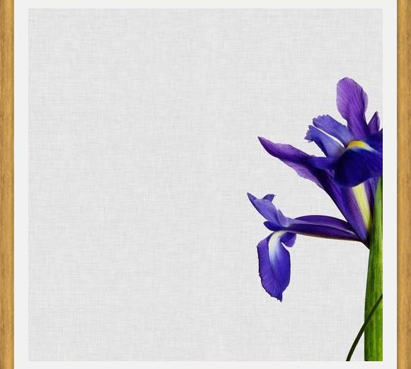 Cuadro Iris Still Life