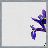 Cuadro Iris Still Life