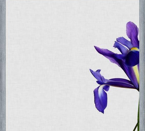 Cuadro Iris Still Life