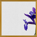 Cuadro Iris Still Life