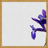 Cuadro Iris Still Life