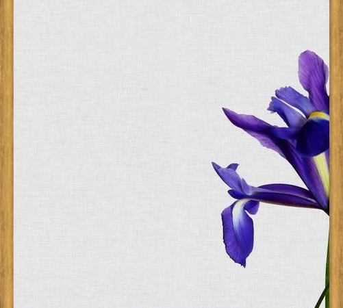 Cuadro Iris Still Life
