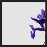 Cuadro Iris Still Life