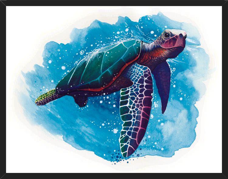 Cuadro TORTUGA DE MAR