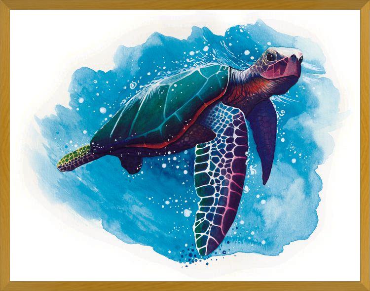 Cuadro TORTUGA DE MAR