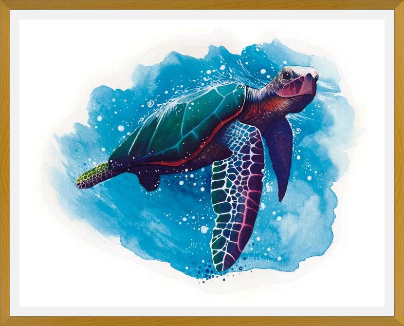 Cuadro TORTUGA DE MAR