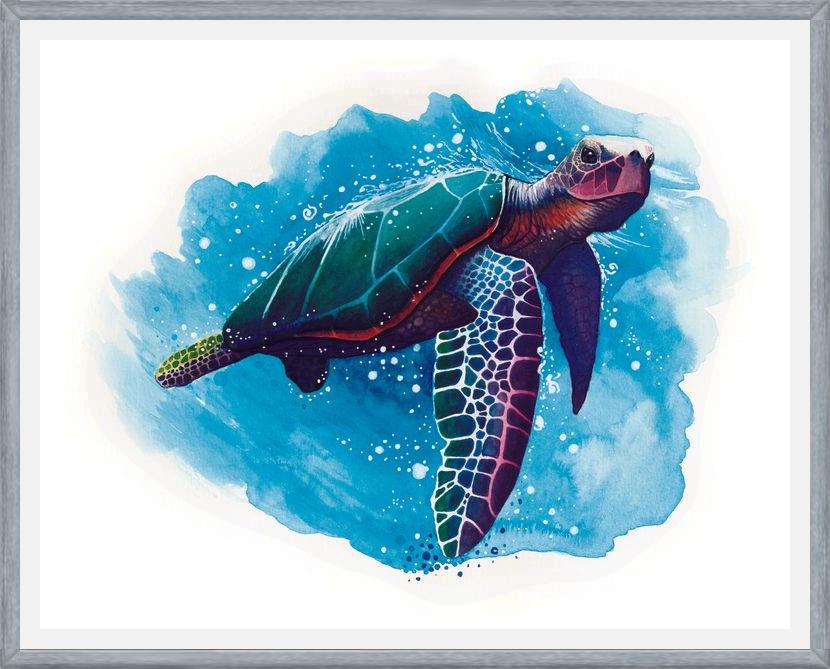 Cuadro TORTUGA DE MAR