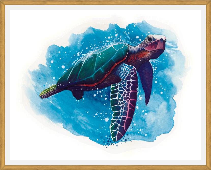 Cuadro TORTUGA DE MAR