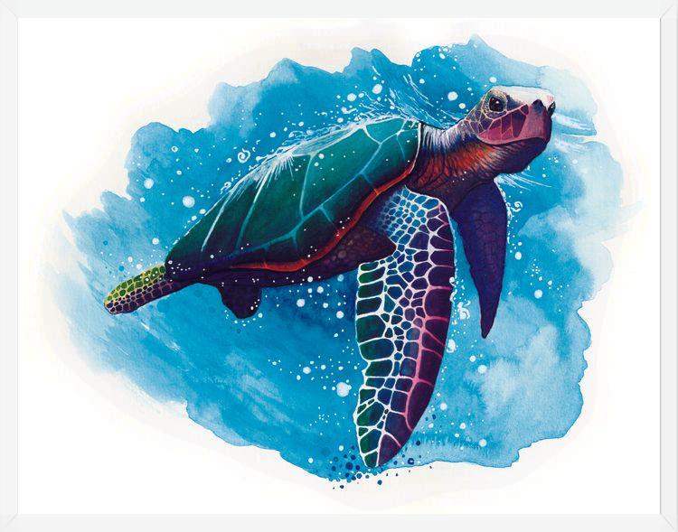 Cuadro TORTUGA DE MAR