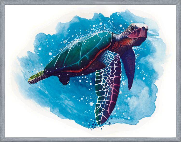 Cuadro TORTUGA DE MAR