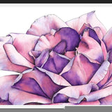Cuadro Rosa