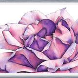 Cuadro Rosa