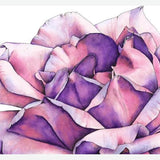 Cuadro Rosa