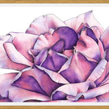 Cuadro Rosa