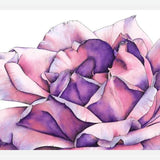 Cuadro Rosa