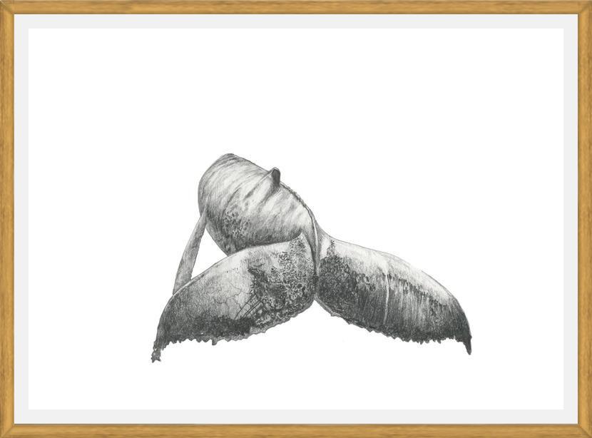 Cuadro Ballena Jorobada Chilena 3