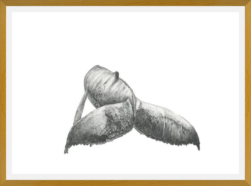 Cuadro Ballena Jorobada Chilena 3